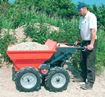 Image sur Mini dumper BMD 300