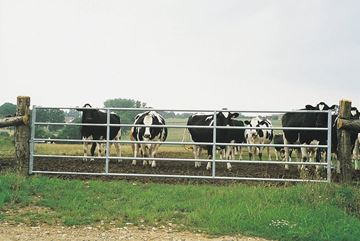 Image de Barrière d'herbage extensible 4/5 m