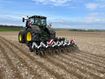 Image sur Striptill STRIPCAT
