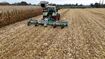 Image sur Broyeur DRH Master-Field 6,20 m